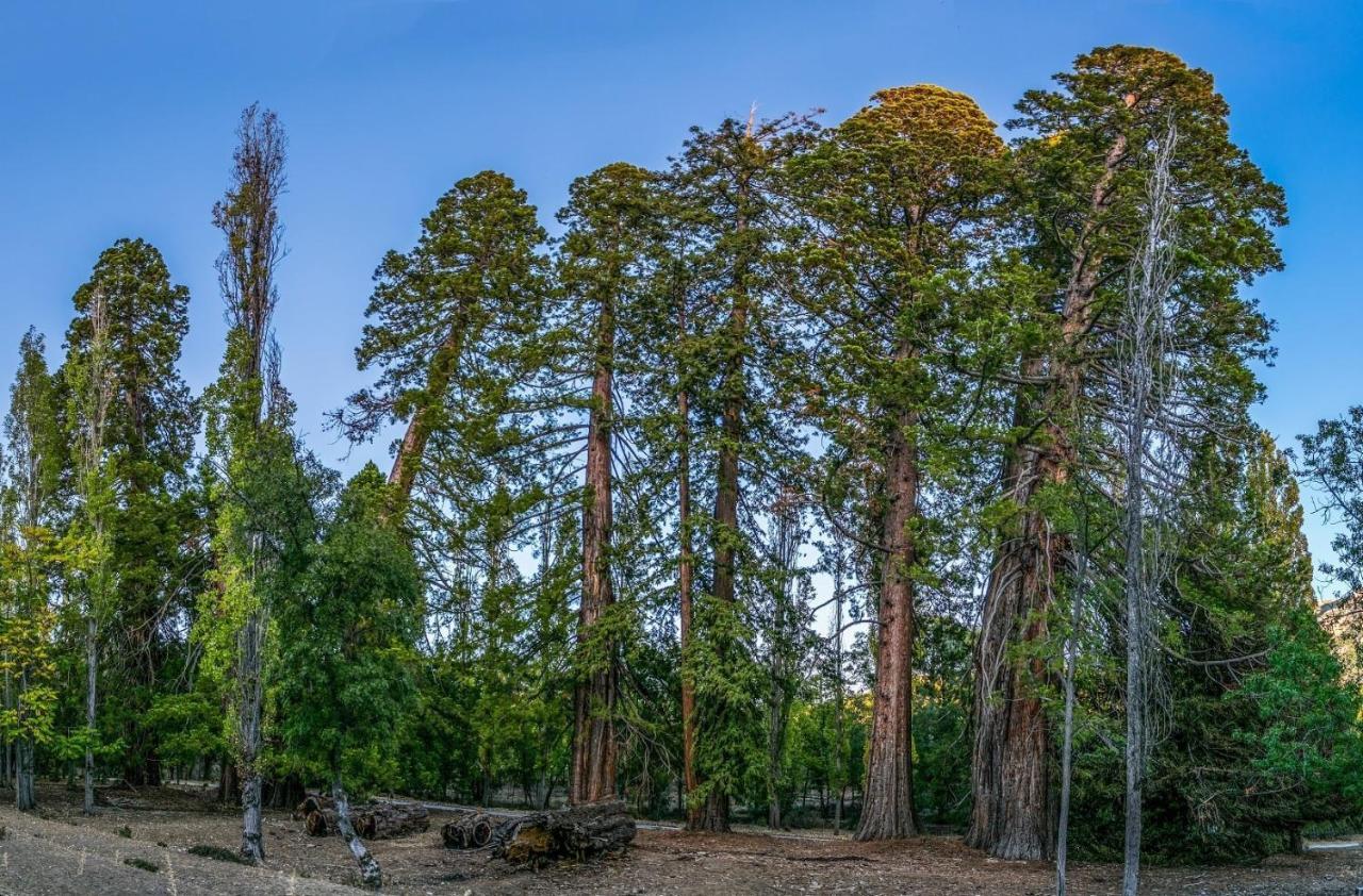 La Noguera Casa Rural Huéscar Exteriör bild